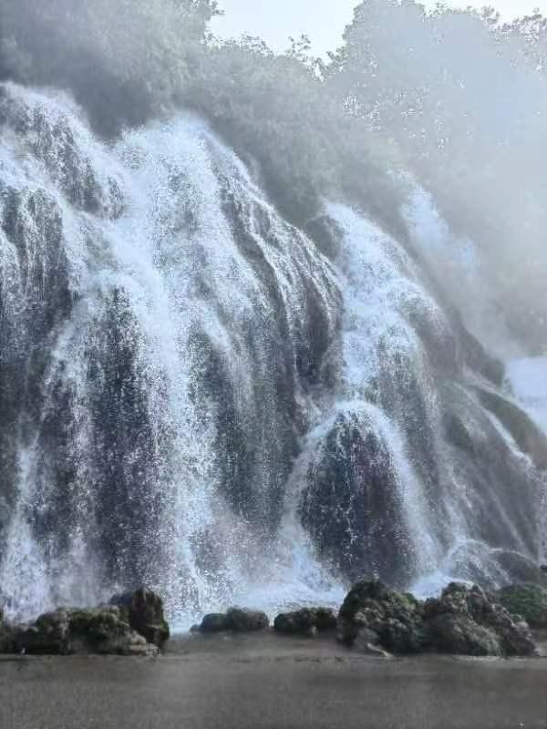探索知识星球平台,发现2002年南昌花博会地址在哪?专属世界